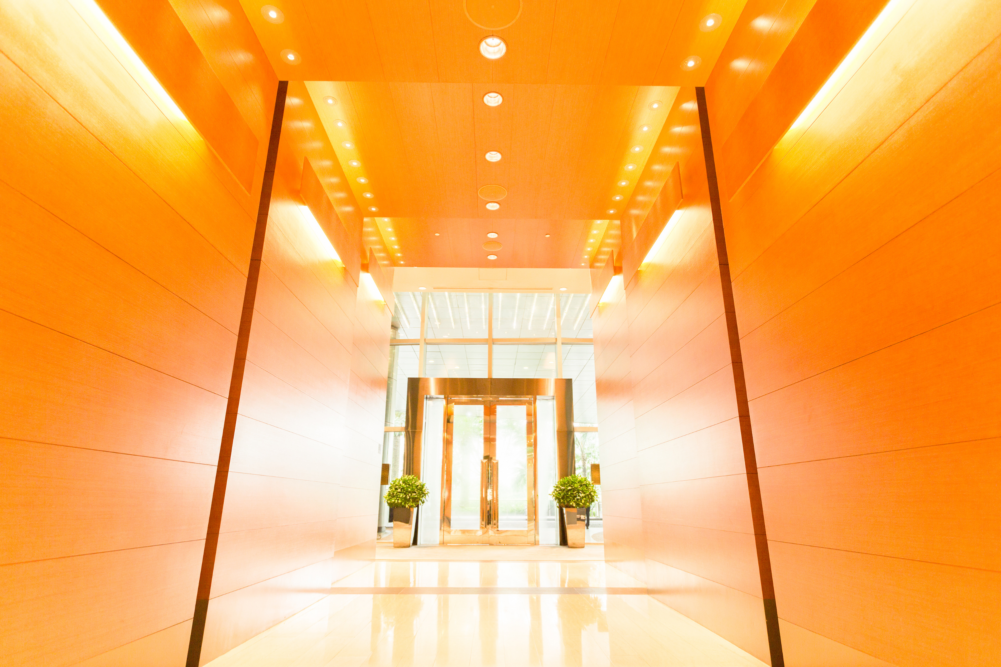 Unlocking Your Potential - Welcome to Elevating You and Your Career